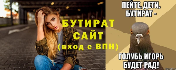 индика Волоколамск