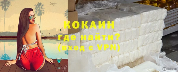 индика Бронницы