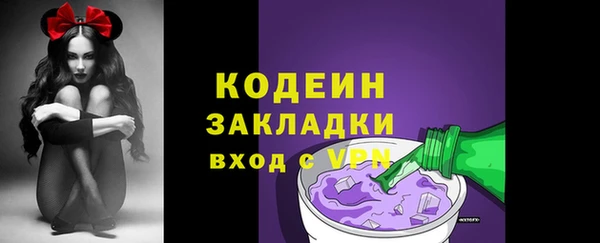 индика Волоколамск