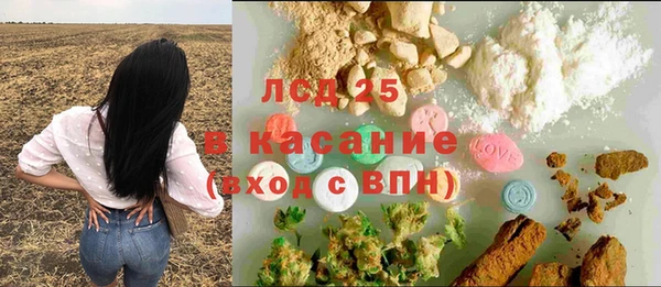 индика Волоколамск
