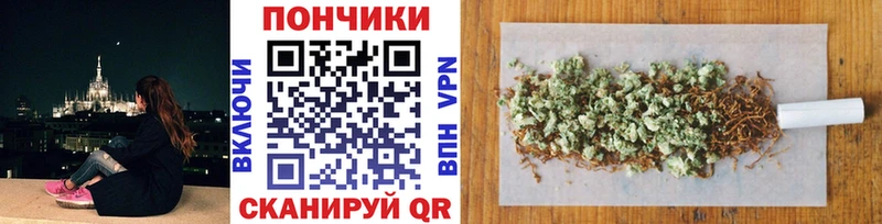 где купить   Инсар  Бошки Шишки сатива 